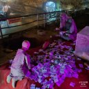 (주)데이콤멀티미디어인터넷 | 강원도 삼척기차여행 환선굴 2025동구리동굴축제