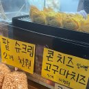 11-4, 11-5. 팀플로 불태운 멋진 대학생다운 대학생의 11월 마지막주🔥|미닛뮤트보키덤블, 리무드백...