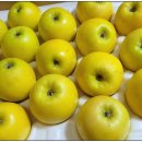 골드농장 이미지