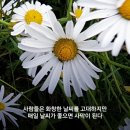 순리대로 이미지