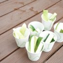 백산자연유치원 이미지