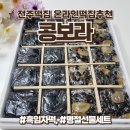 전주떡집 전주떡맛집, 콩보라 흑임자떡 명절선물세트 추천