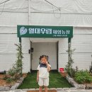 우림농장2 이미지