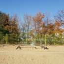 형남초등 병설 이미지