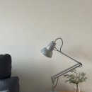 포이즈