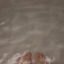 해그라미 이미지