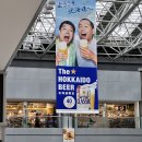J-060 | 삿포로 여행 5박 6일 1일차 일상 후기
