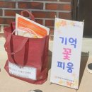 꽃피움 이미지