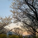 [와인구매일기] 뱅가드와인머천트 3월 쇼핑후기