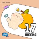 백일번째 주간일기 : 6월 둘째주차
