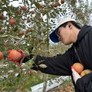 청송농장 이미지