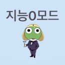 실수로 너무 많이 놀아버렸어요
