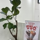 순복음목장 | 서여의도 가성비 카페 국회의사당역 이노스 내돈내산 후기 아메리카노 2천원