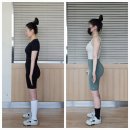 헬스보이짐 문래역점 | 발바닥의 중요성 : 헬스보이짐 문래역점 이지언 트레이너