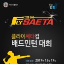 플라이쎄타 코리아