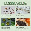 티마스터과정 이미지