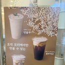 모리커피서귀포혁신도시점 이미지