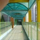 원신초등학교 이미지