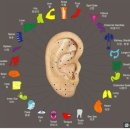 이혈요법 이미지