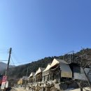 가평 슈가펜션 픽업가능펜션 내돈내산 솔직방문후기 저렴하게 예약하는 꿀팁