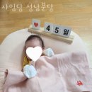 사임당 성남분당 이미지
