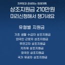 강화파라다이스
