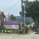두물머리 | 양평 연잎핫도그 맛집 두물머리연핫도그 재방문 후기
