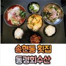 [대구 송현동 맛집] 달서구 횟집 &#39;동경회수산&#39; 물회, 회덮밥 후기