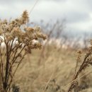 주령축산 네이버블로그