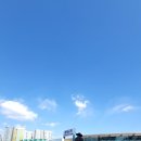 D-21 | (동마 D-21)대구마라톤 하프 후기_공식 PB 1:33:03