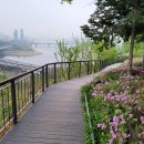 (주)산의 아침 이미지