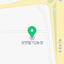 준이농장2 이미지