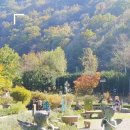 수림꽃농원 | 평창 봉평가볼만한곳 / 허브나라농원 흥정계곡 무이예술관 오대산월정사 / 강원도드라이브코스 한국관광...