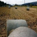 용은축산 이미지