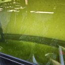 내린천펜션계곡사랑 이미지