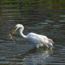 광주광역시 야생동물구조관리센터 이미지