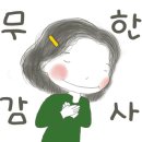 무지개청과 - 용인시 처인구 동부로 513 | 무지개청과