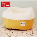 브라운퍼피 이미지