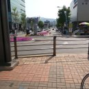 응봉공원4 이미지