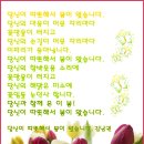 봄시화