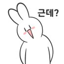 도대리카페 이미지