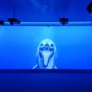 주제관 2층 화장실 이미지