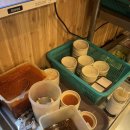 [서대문구/고기집] 8,900원 삼겹, 목살 가성비맛집 ‘설레임삼겹살 신촌점’ 내돈내산 솔직후기