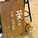 전주 신시가지 놀거리: 털뭉치 친구들이 뾰로롱 오늘나의선물 꽃카페 솔직후기
