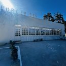 미스터빠삭 부산기장점 | 부산 기장 수제버거 맛집 버거베이 방문 후기