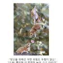 클리셰