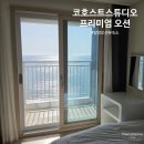 인구스테이 | 양양오션뷰숙소 코호스트스튜디오 오션스테이 프리미엄 오션뷰, 일출까지 완벽했던 후기