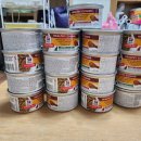 닥터김동물의료센터 이미지