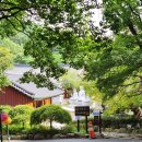 동화사 | [대구]동화사 산책 후기: 팔공산 여행 코스, 동화사 고양이 만남