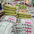 상주농협 하나로마트 앞 이미지